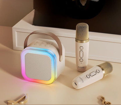 Portable Bluetooth Speaker with Wireless Microphone
